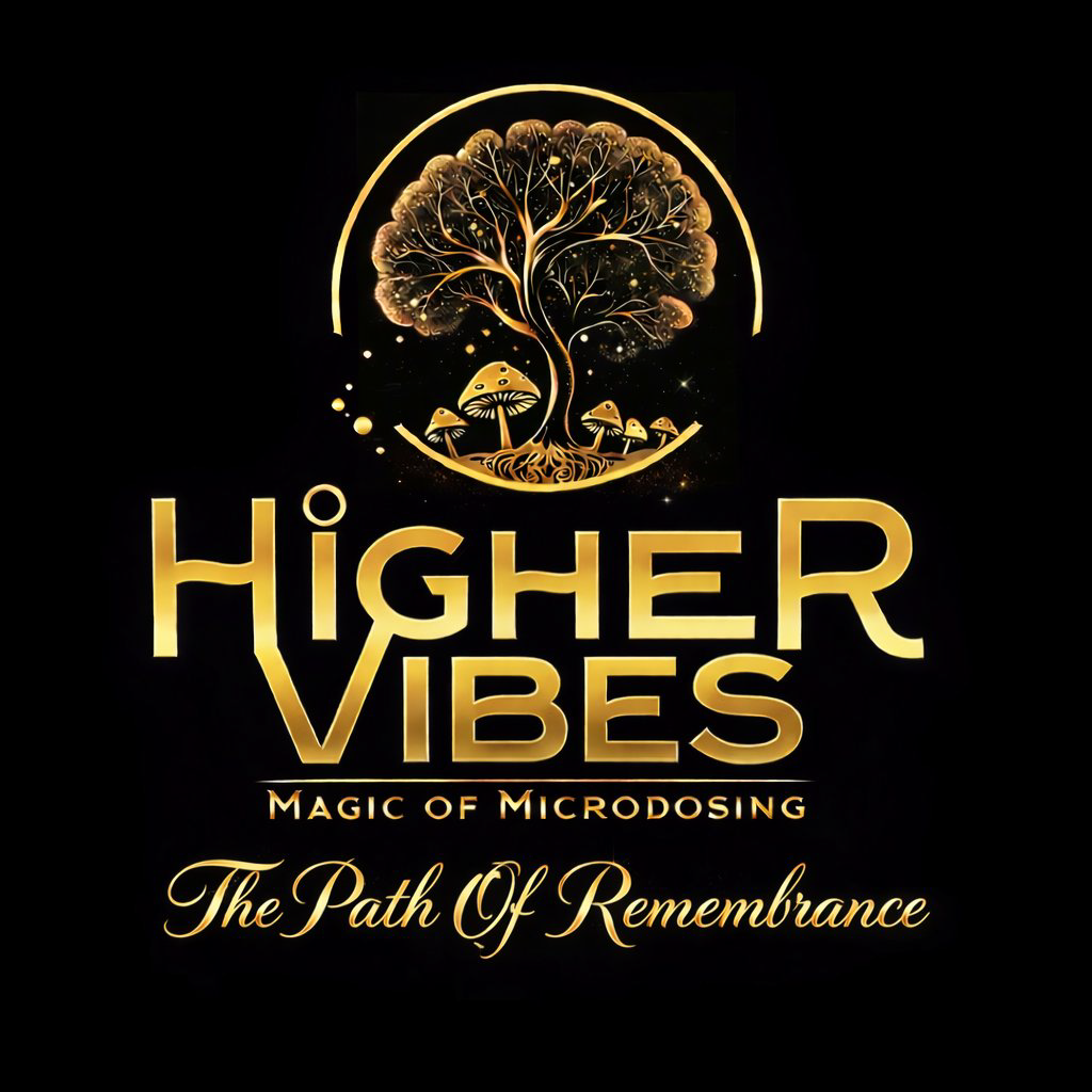 Higher Vibes — The Path of Remembrance