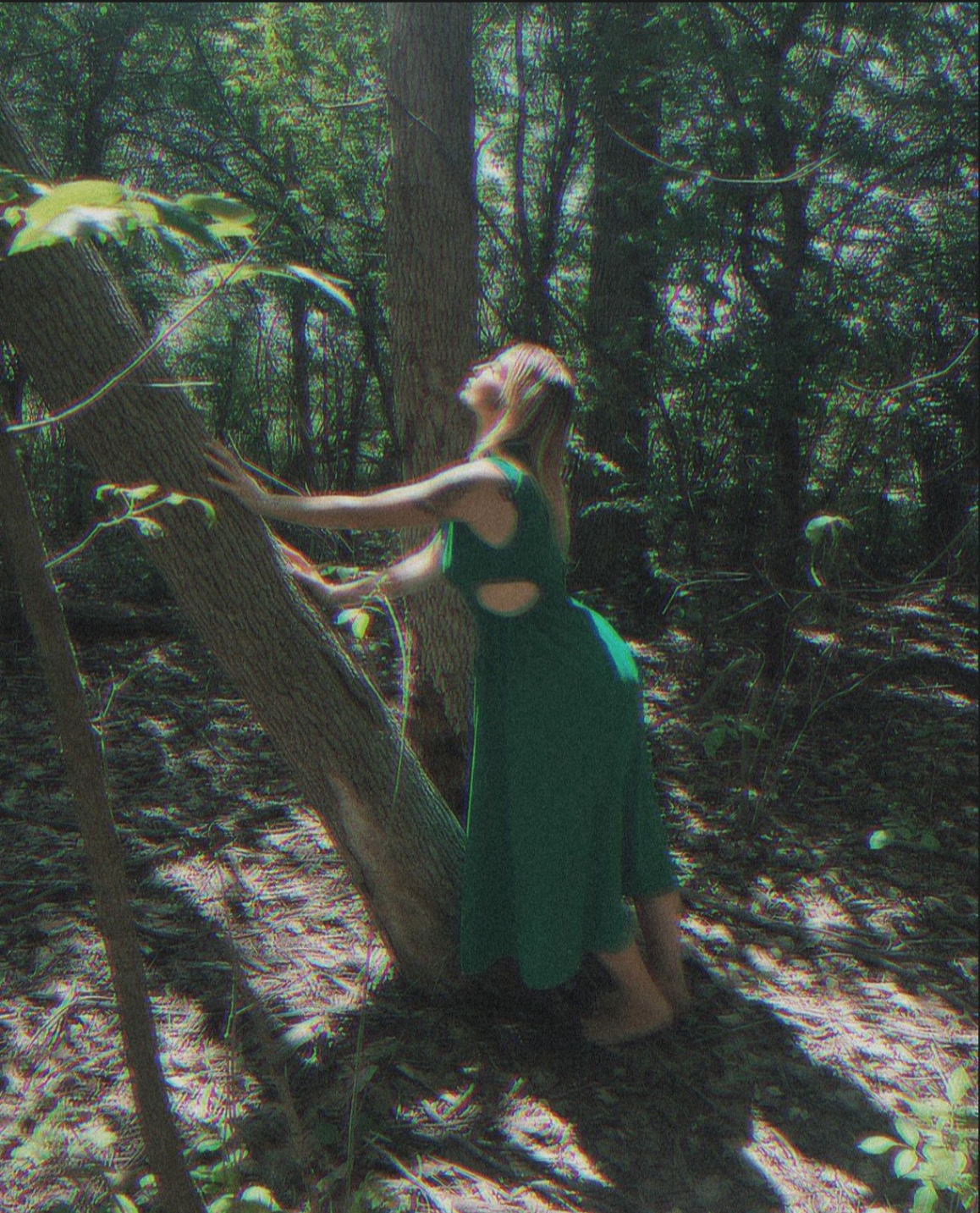 Kim Alfano in the forest — reconnecting with nature