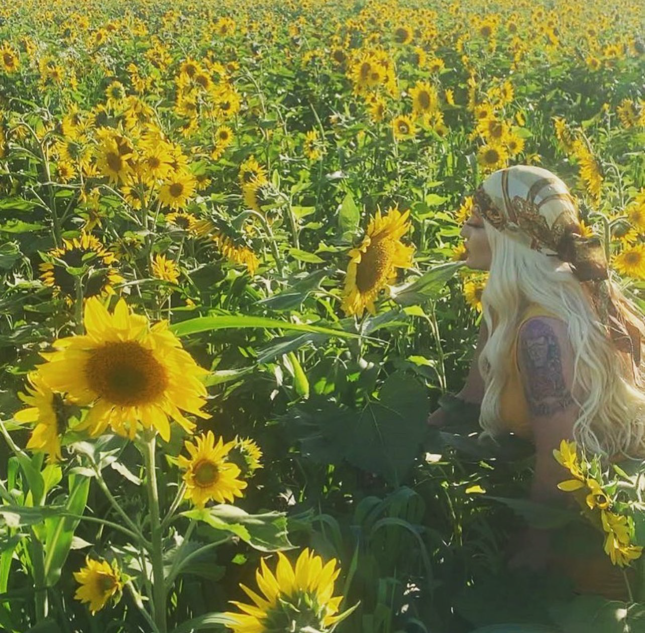 Kim Alfano amongst sunflowers — goddess energy